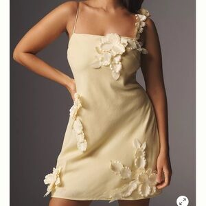 NWT! HUTCH 3D FLORAL APPLIQUÉ LINEN BLEND DRESS